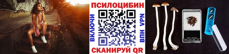 Псилоцибиновые грибы Magic Shrooms  Электрогорск 